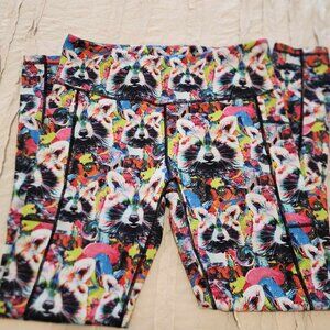 Constantly Varied Gear (CVG) Trash Panda